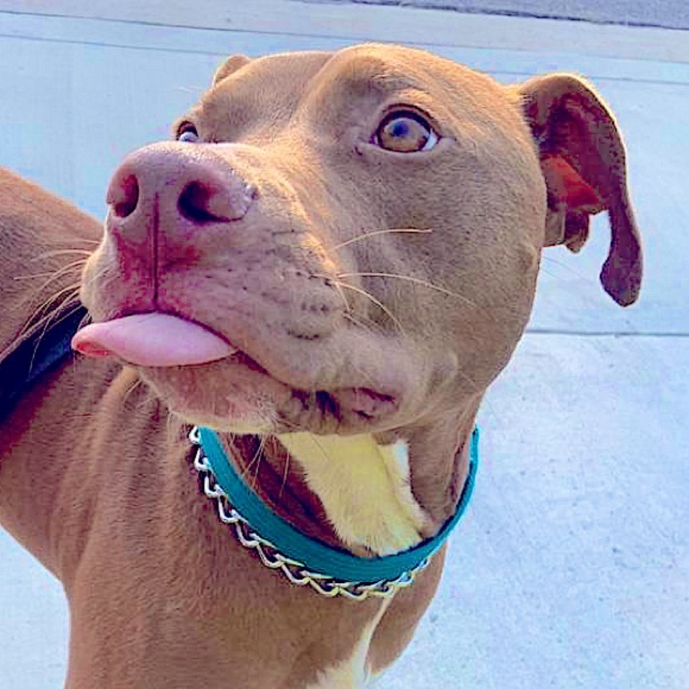 Meet your Posher, Valerie